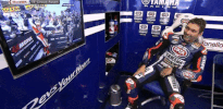 sacatunquepen  GIF