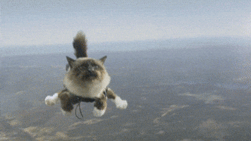 Yuriy  GIF