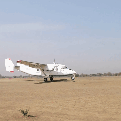 DECappeal animation gif baby charity GIF