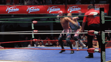 videoselpaisamerica  GIF