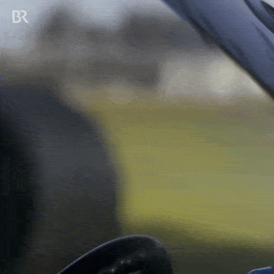 Angry Fight GIF by Bayerischer Rundfunk