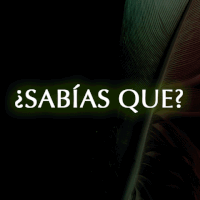 200.gif?cid=fc005b080934aeee62afab224bd55360bb2e9224814f4629&rid=200.gif&ct=g