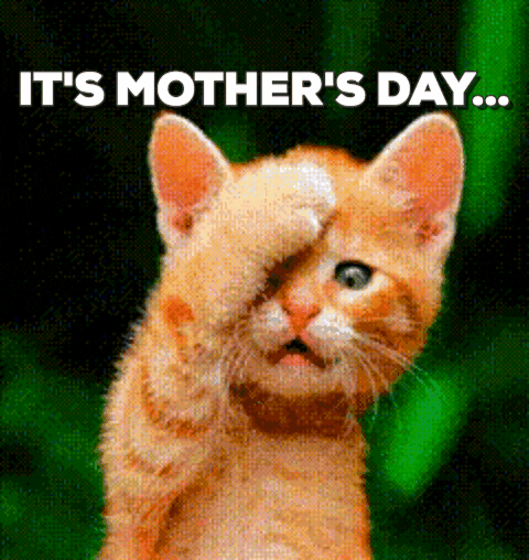 Happy Mothers Day GIFs - Get the best GIF on GIPHY