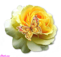 homey  GIF
