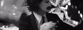 the 1975 GIF by Interscope Records