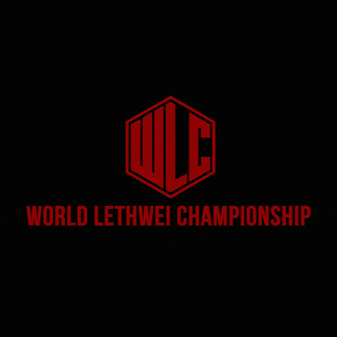 Wlc Bareknuckle GIF by World Lethwei Championship