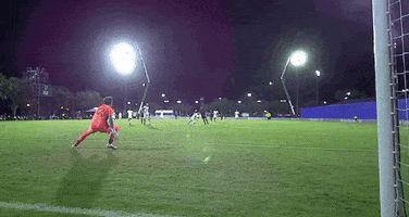 Watch Out Goal GIF by Major League Soccer
