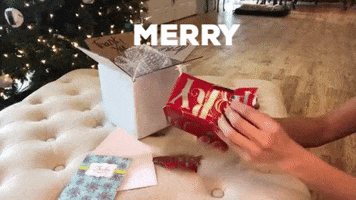 Merry Christmas Hands GIF by Tricia  Grace