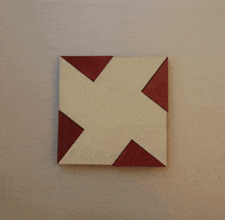 vena geometry <3 GIF