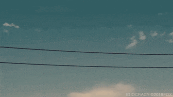 Mike Judge Bounce GIF by Idiocracy