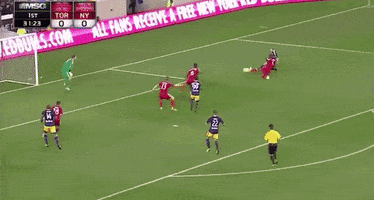 thierry henry goal GIF by New York Red Bulls