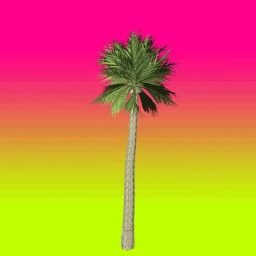 Palm Tree Summer GIF