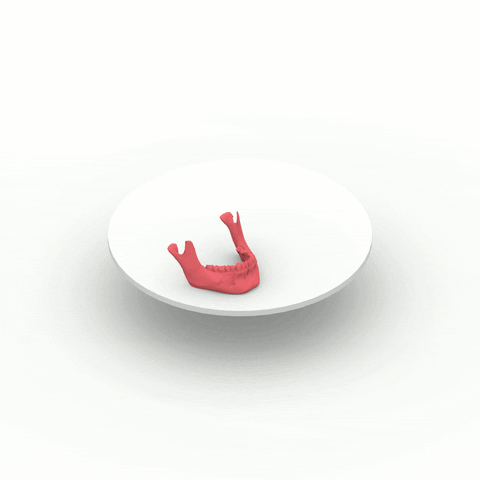 Loop Skull GIF by Eltons Kūns