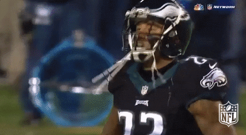 philadelphia eagles omg GIF by NFL