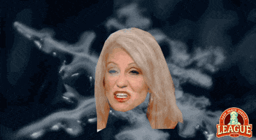 Kellyanne Conway Special Snowflake GIF by Abortion Access Front