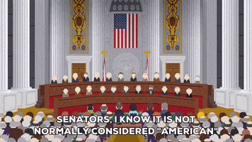 united states congress GIF by South Park 