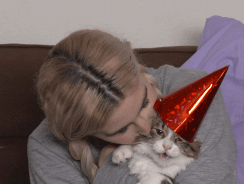 Cat Celebration GIF by HelloGiggles - Find & Share on GIPHY