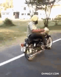 patalie motorcycle patalie GIF