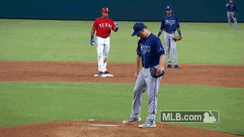 Fake Out Tampa Bay Rays GIF by MLB