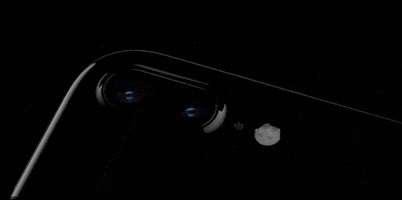 mohammadtajulislam  GIF