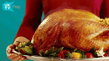 Turkey Thanksgiving Food GIF by UKTV Play