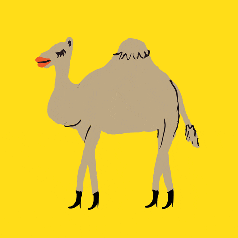 ali mac fart camel farts cameltoe GIF