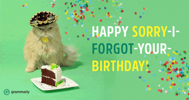 Sorry Birthday GIF by Grammarly.com