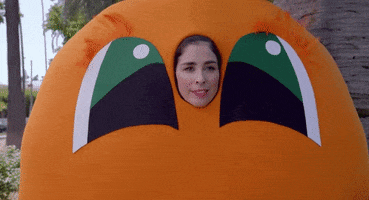 Sarah Silverman Dont Wanna Know Music Video GIF by Maroon 5