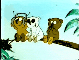 to1ne music dancing koala head phone GIF