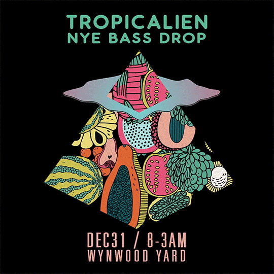 cmrnmare 2016 2017 tropicalien nye bass drop GIF