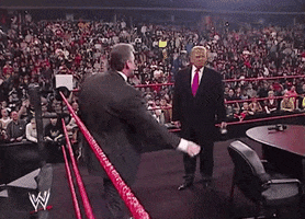 donald trump wwe GIF by Election 2016