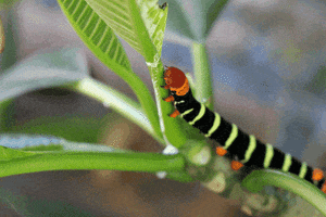 georgepalmer980  GIF