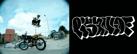 neal skate pis an lof GIF