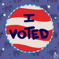 Voting Election 2020 GIF by Hallmark Gold Crown