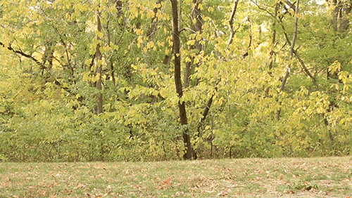 excited friday GIF by Originals