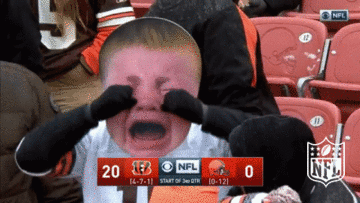 Image result for Browns fans gif