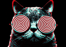 supernova  GIF