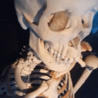 pokey  GIF