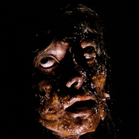 lucio fulci horror GIF by Shudder