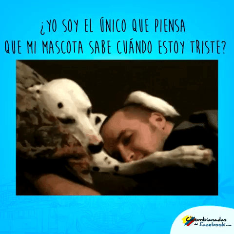 lascolombianadasdelfacebook  GIF