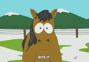 snow horse GIF by South Park 