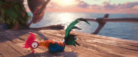 Moana Chicken Gifs Get The Best Gif On Giphy