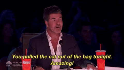 agt GIF by America's Got Talent
