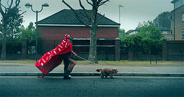 Parris Goebel Dog GIF by PARRI$