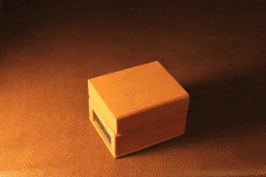 Stop Motion Gif Artist GIF by RayFChang