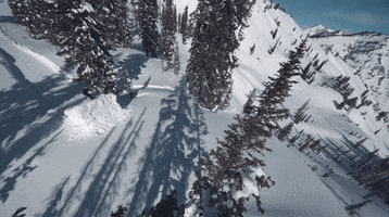 snowboard GIF by Red Bull