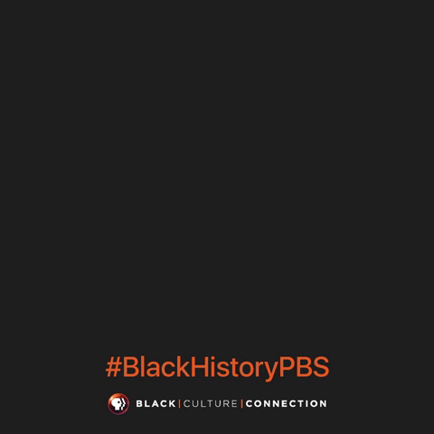 black history month GIF by PBS