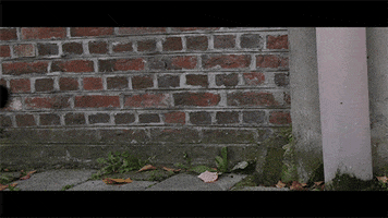 GIF by octobiche
