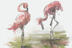 valentine's day love GIF by Studio 360