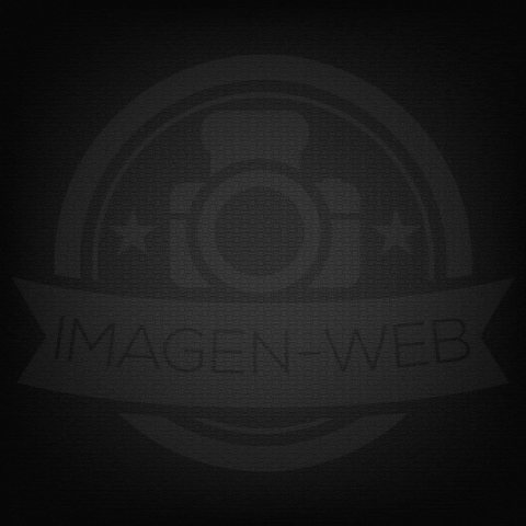 freelancer  GIF